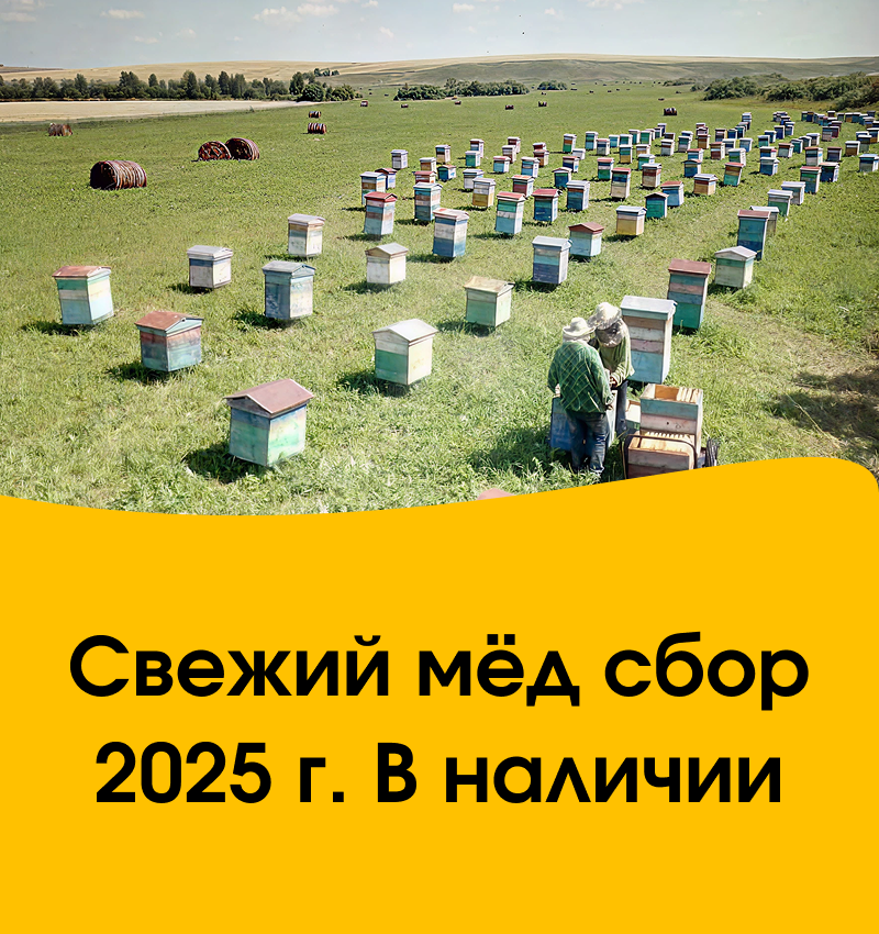 �������������� ����� ����, ����������. ����-���, �������. ��������� � ����������. ���������. �������������. ������ 2025� -14. ���� 04.08