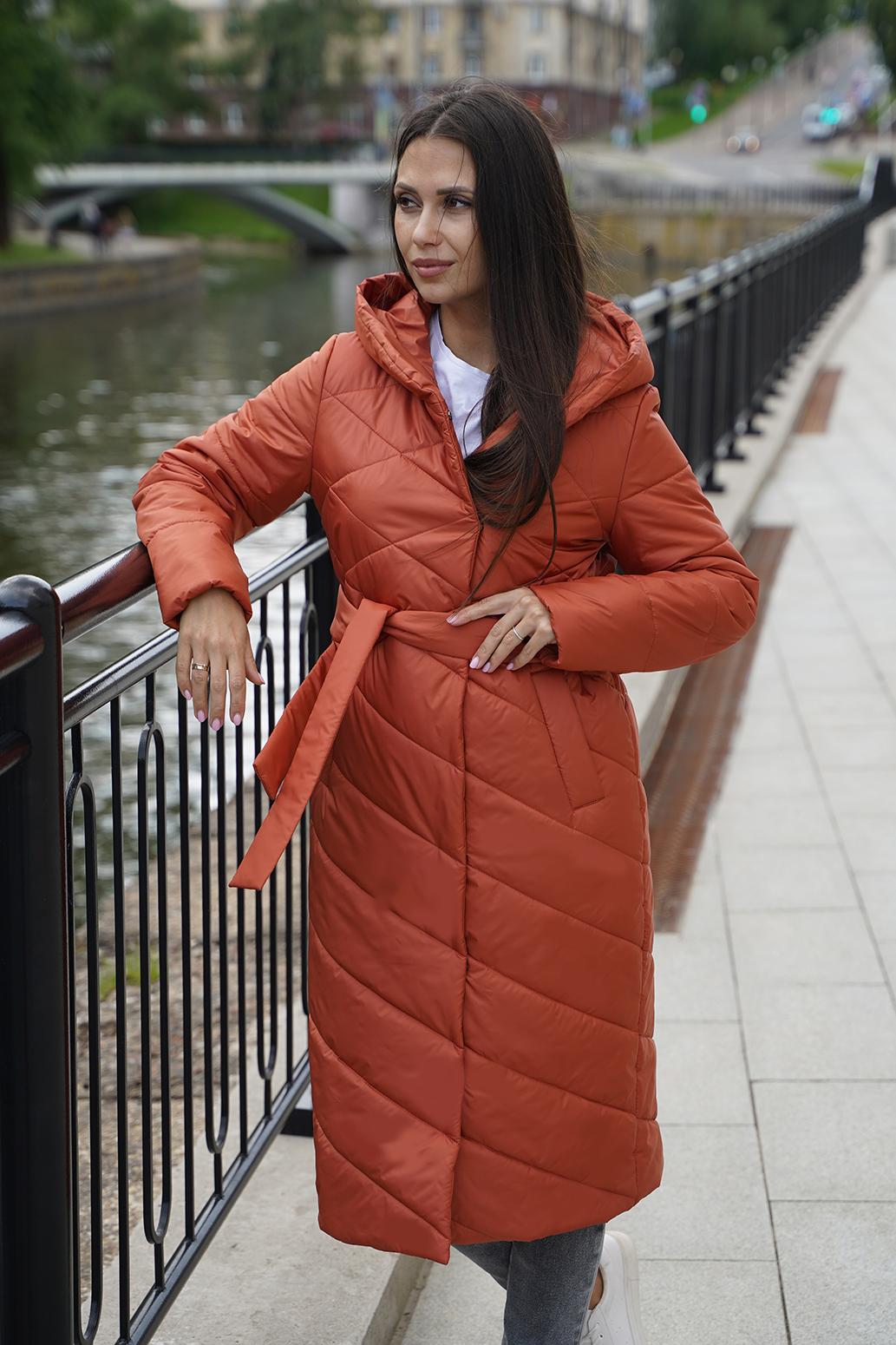 TwinTip-������� ������� ������! ������� ������ �����/���� 2025/26.������� �������� � 1 �������� ��������� ���!