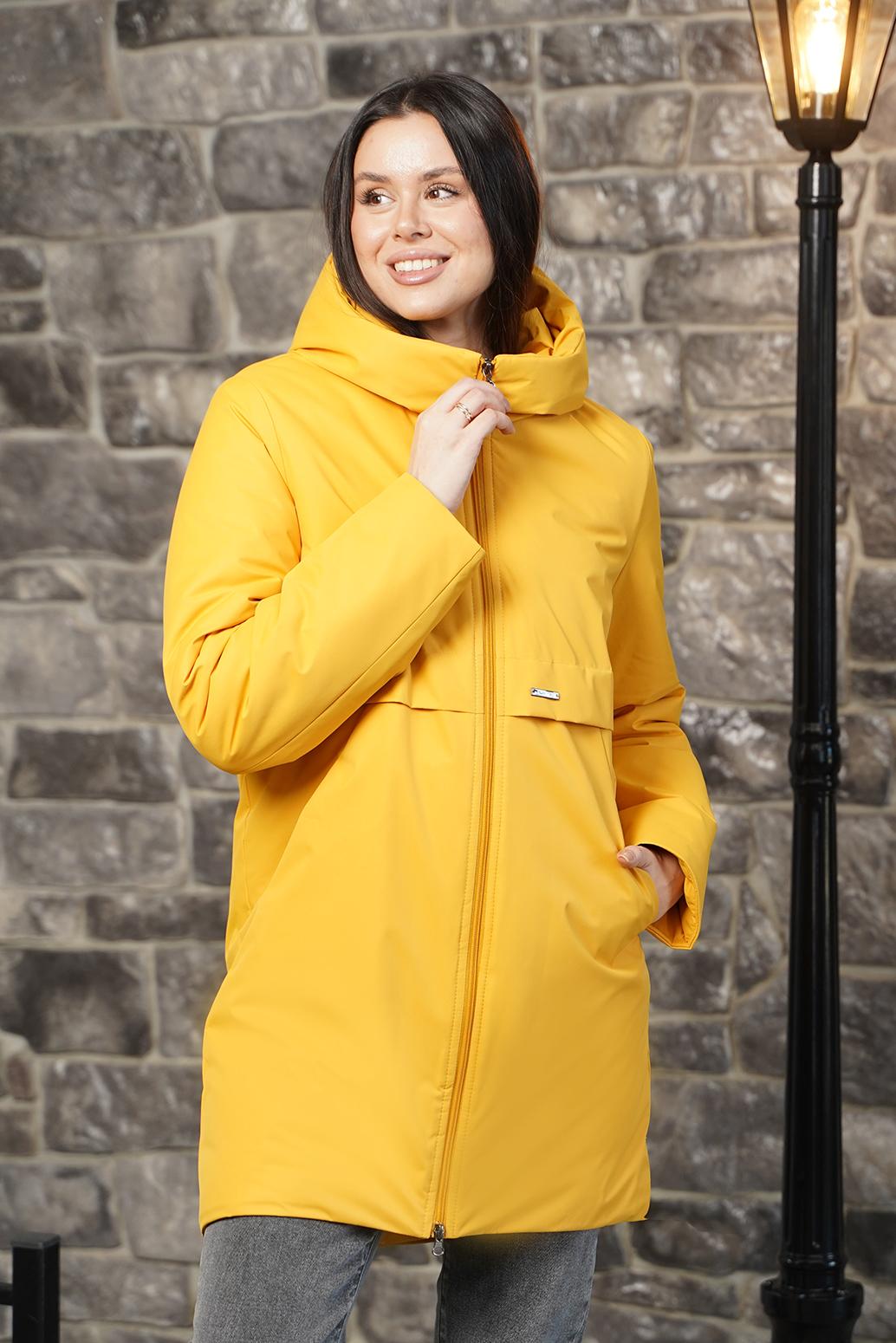 TwinTip-������� ������� ������! ������� ������ �����/���� 2025/26.������� �������� � 1 �������� ��������� ���!