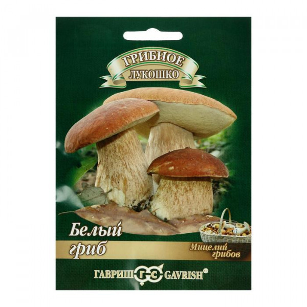 ����� ����� 28. ������ �������, ������, �������, ������� ������, ������ ��� �����. ������� �����.