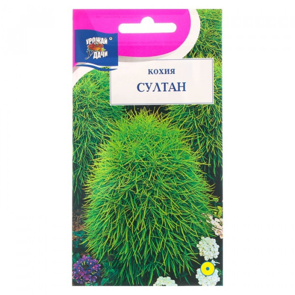 ����� ����� 28. ������ ��������� ��������, ������, ����������, �������� ����, �������� � �����������, ���������� � ����������� ������, ������ ��� �����. ������� �����.