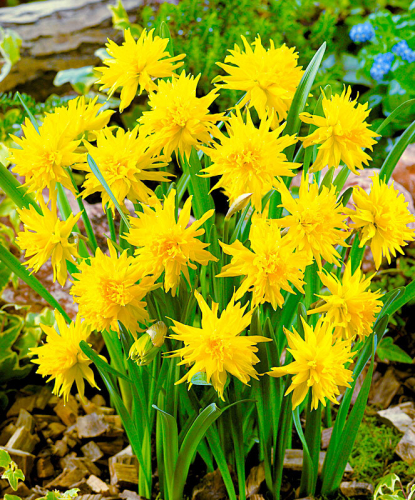 ���������� ����� � ������������