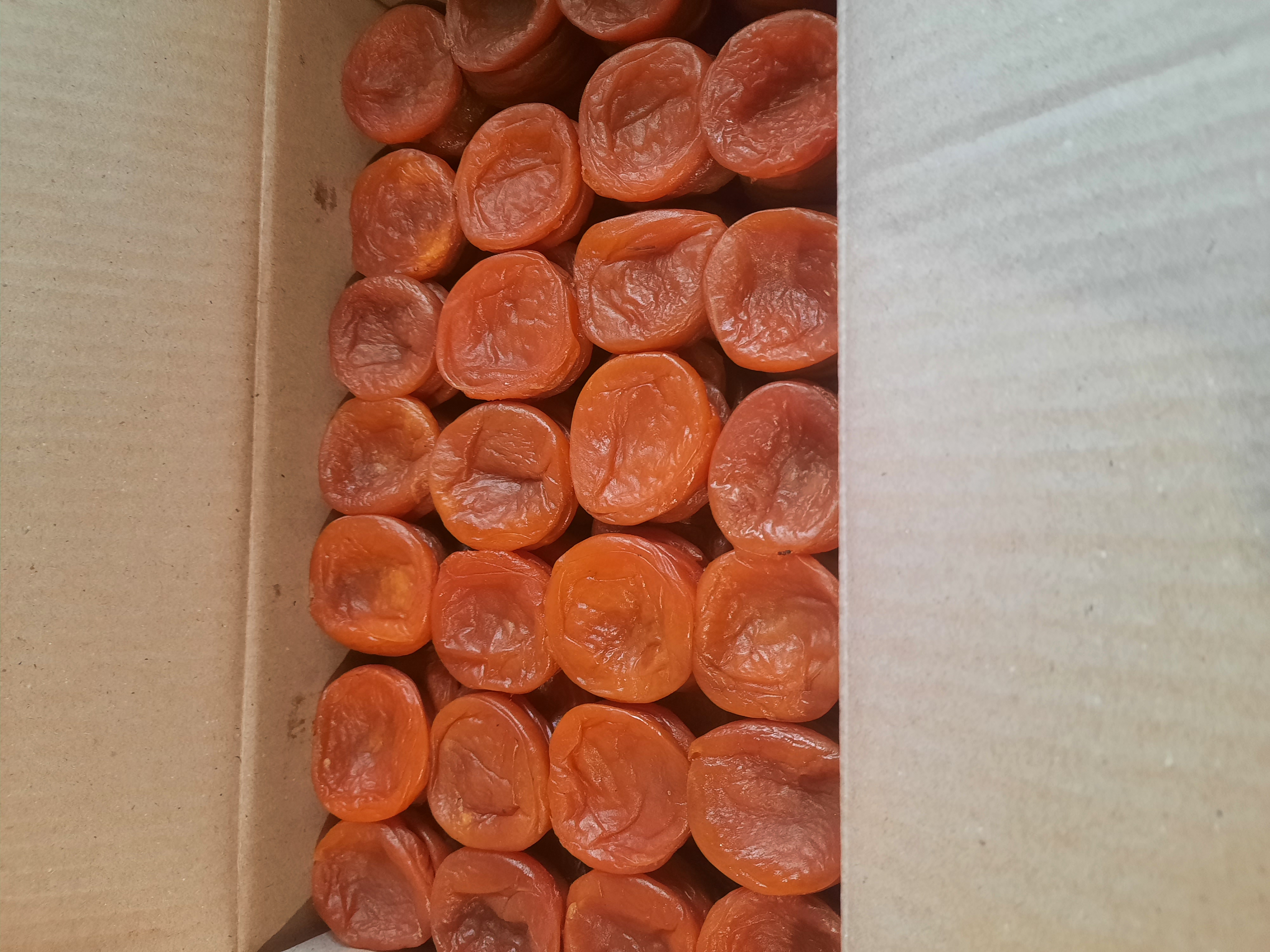 ������ - ����� �����������, ������ 2025�. �������, ������, �������.