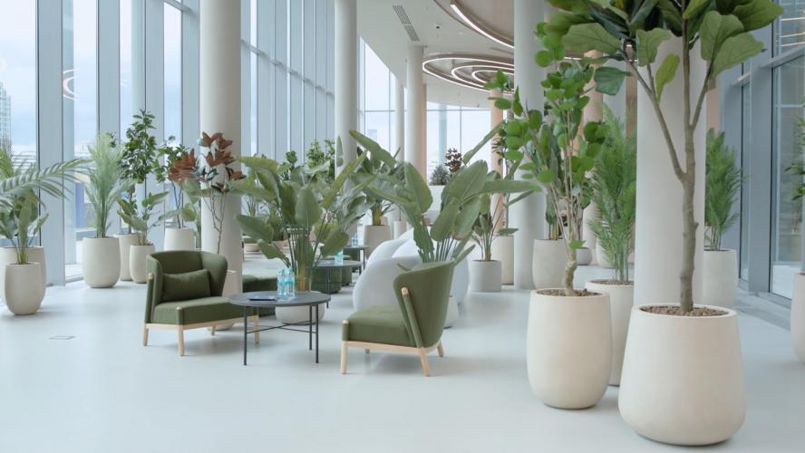 ����� ������ "�������" �� ���������� ����� ������ � ������ ������