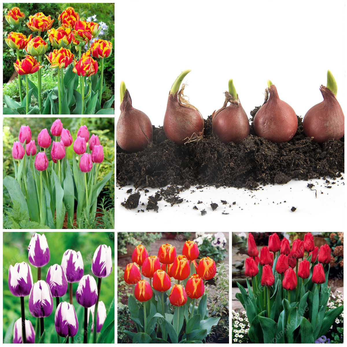 ���������� ����� � ������������