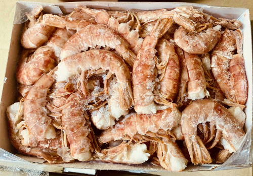 ���� ������������ �������� �������, �������, ������, ������� ����������� ����, ������ ������� ��������� ������ ����� �� ������������ �������� ��������.������������ ��������-��������� �������� ������, ���������, ��������������