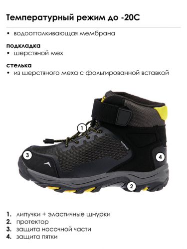 ����� ���� �����