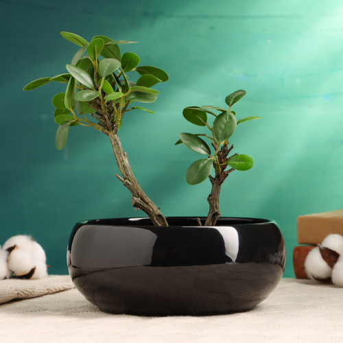 �� 01.10 �������� ��������� � ������� ������, ��� ��� ���� � ������.������, ���������,�����������, ���������. ����� ��������.�����-68