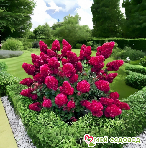 ��������� � ���� ����� ������ ����������!!!! ��������� ��������� �����! 