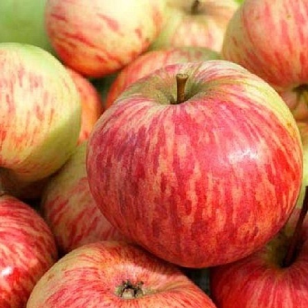 ���������� 3-� �����! ������ �������� ����� ������ ���� ����� �������, �����-�������, � �������� ���������