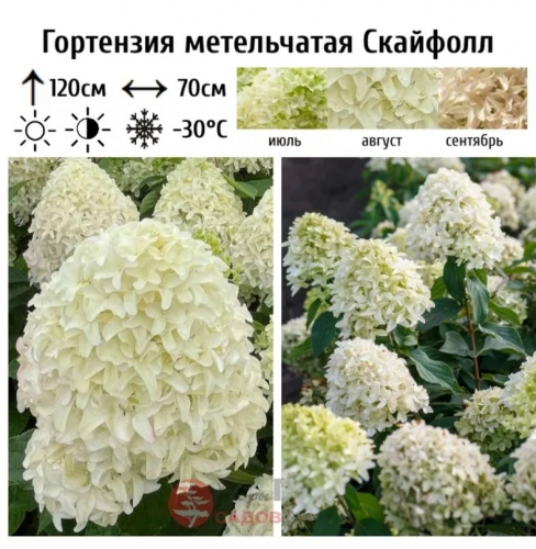 ���� ���������� ��������� �������� (Skyfall) ����������� 2-� �����