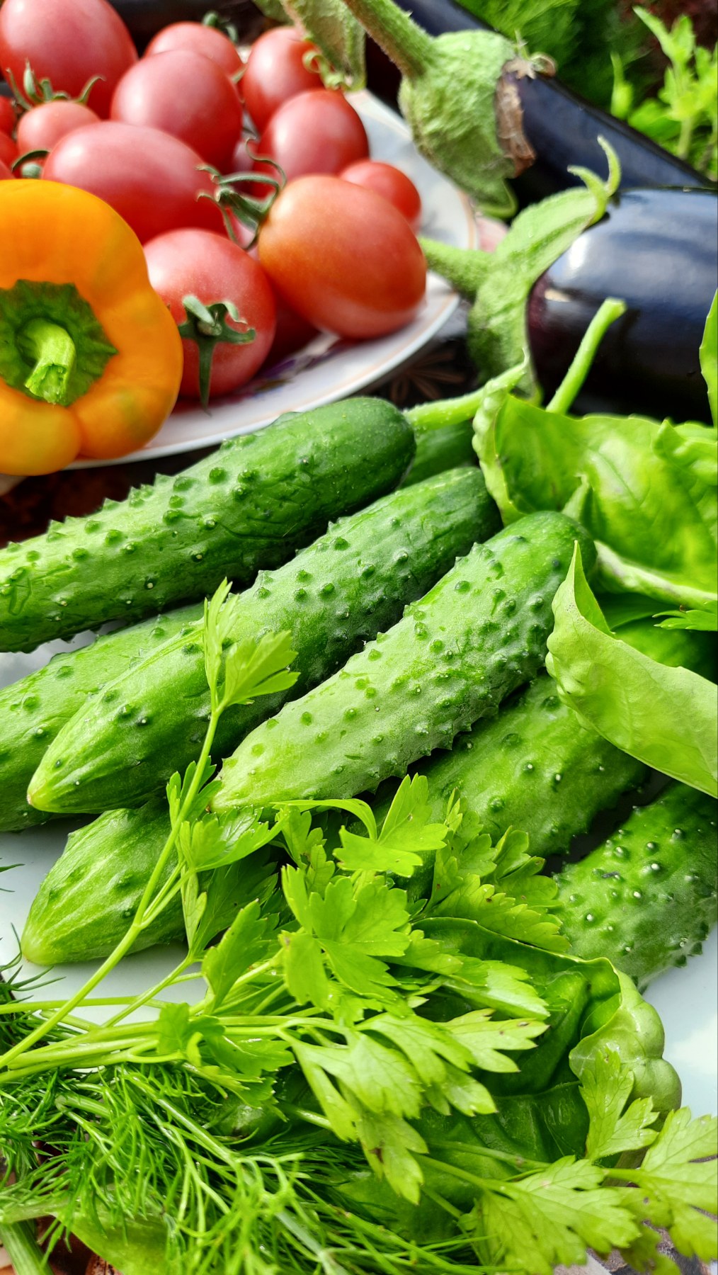 ����������� ����� *��������� ������*! ����� 4000 ������ �����. ����� ������. 60