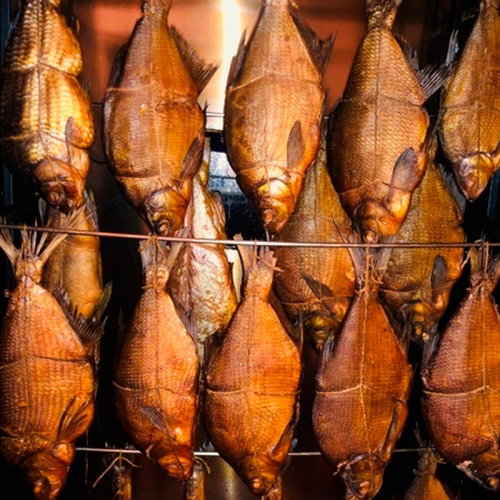 ���� �� 16.09. �������� ����, �������� ���������� �  ������� �� �����, �������.