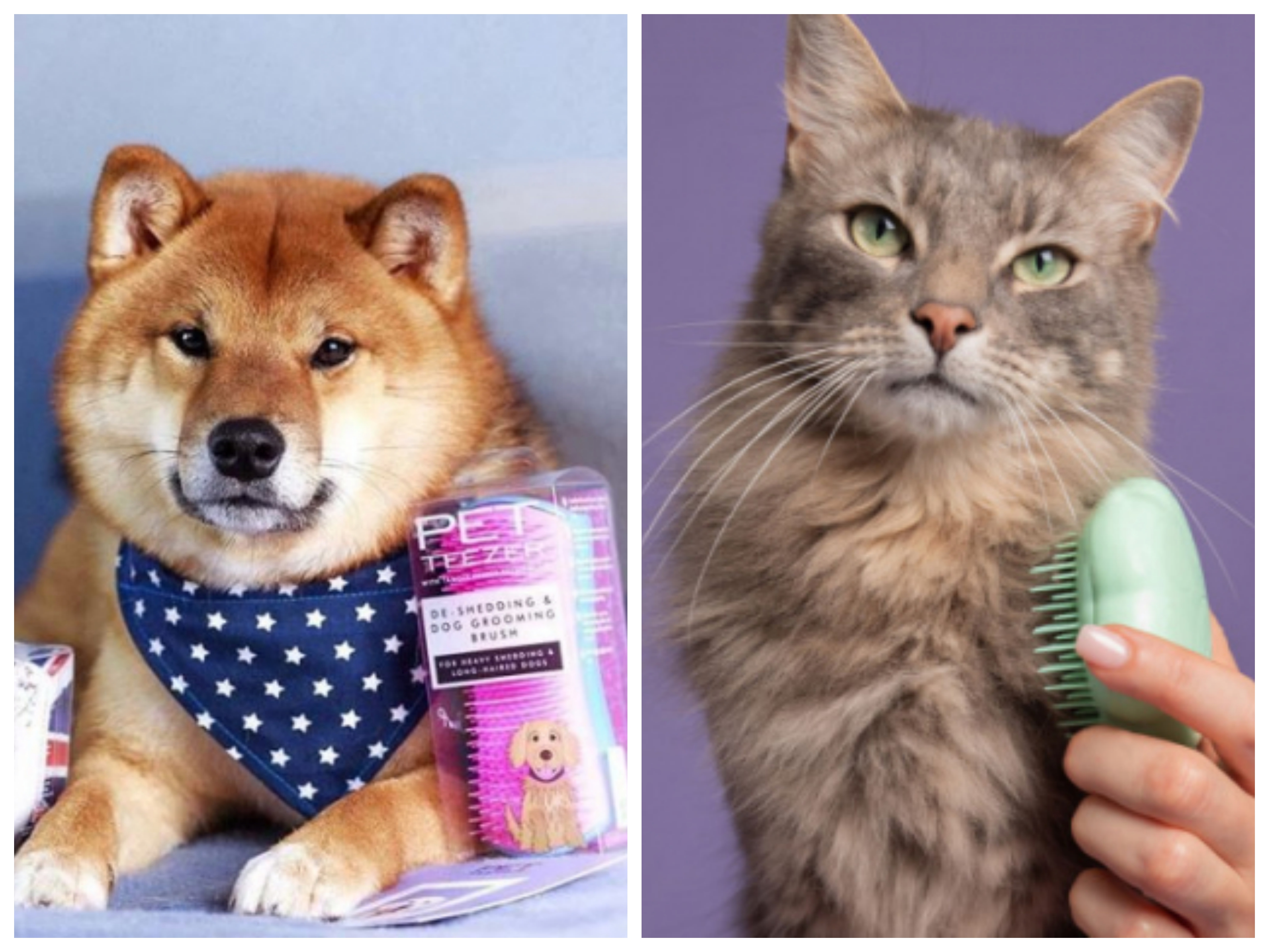 ����� -30%!!! �������� Pet Teezer - ��� ������� ��������! 