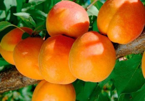 ���� ��������� � ������������ ����� �� ���� ������,��� �������� ��������-�� �������� �������� � ���������!! ������� ����������� ��� �  ����!