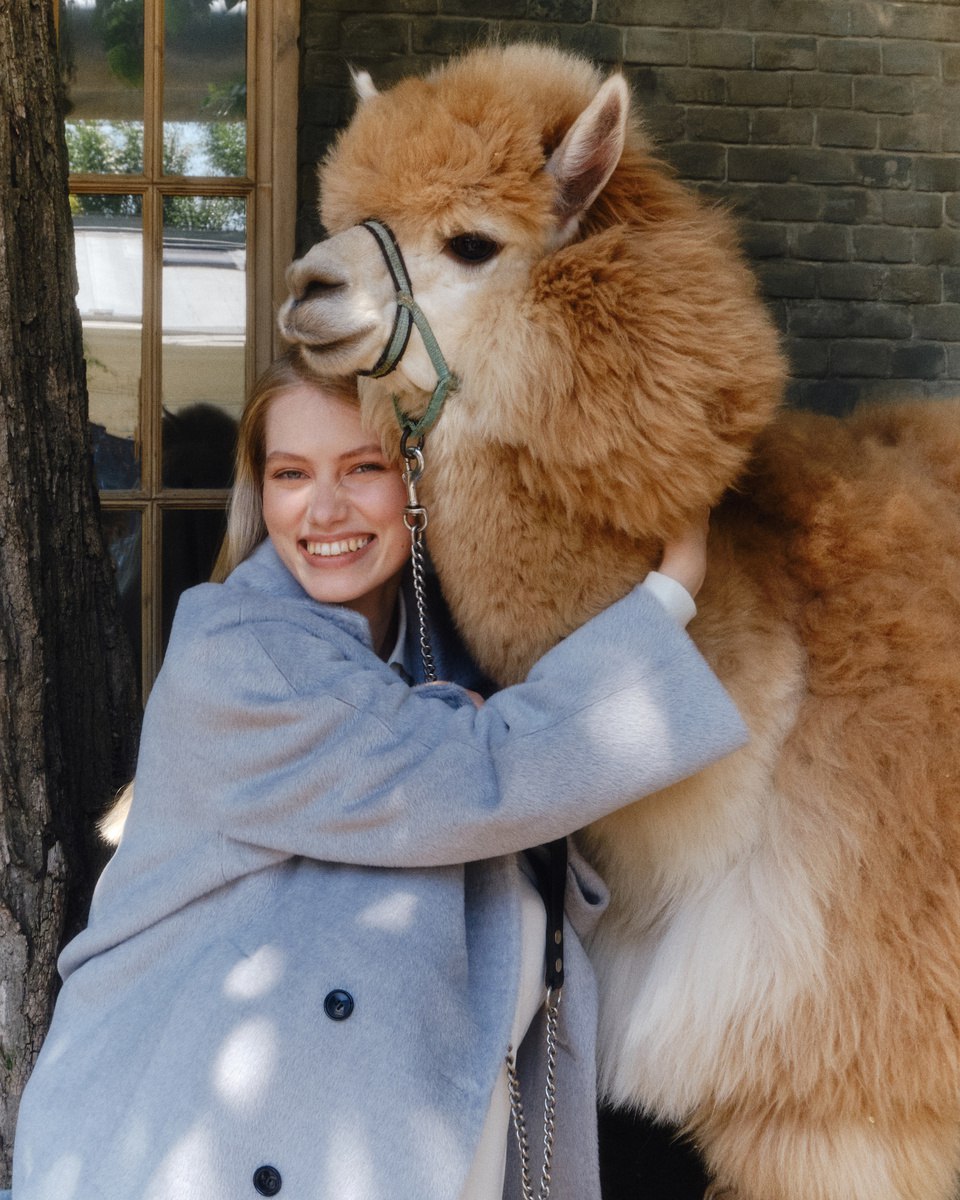 ����� ��������!! ������� ����!! ����� �������� ������ ����� �� ������!!