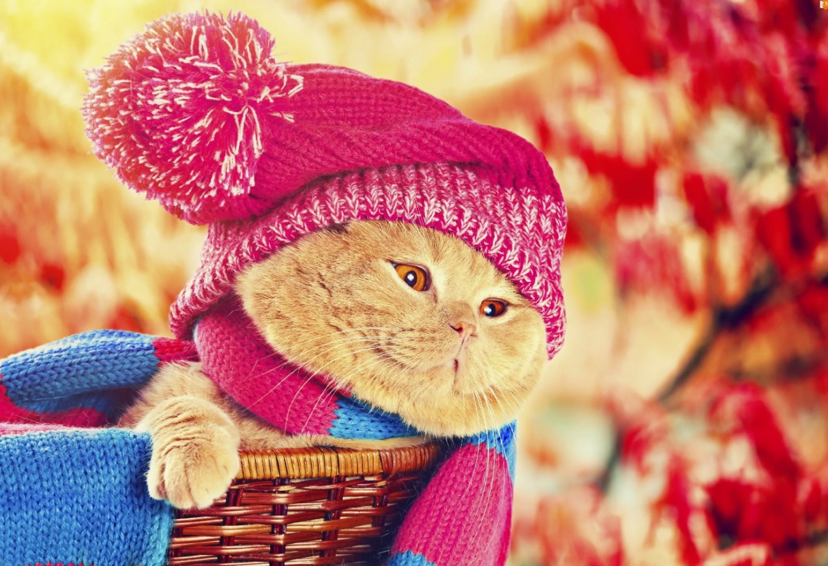 ����.������ �� �� ������! ������ ������ ! �����, ������, �����, �������� � ������. ������ ��������� � ������ �� ������,������ � �������.Ferz,Ysg,Vepanse � 2-3 ���� ������� �������.��������� ������� ��������+ ������� ����������. � � � -27