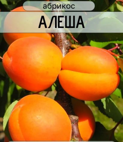 ������� ����� � �������� ������ �������� ������� � ����� �������! 