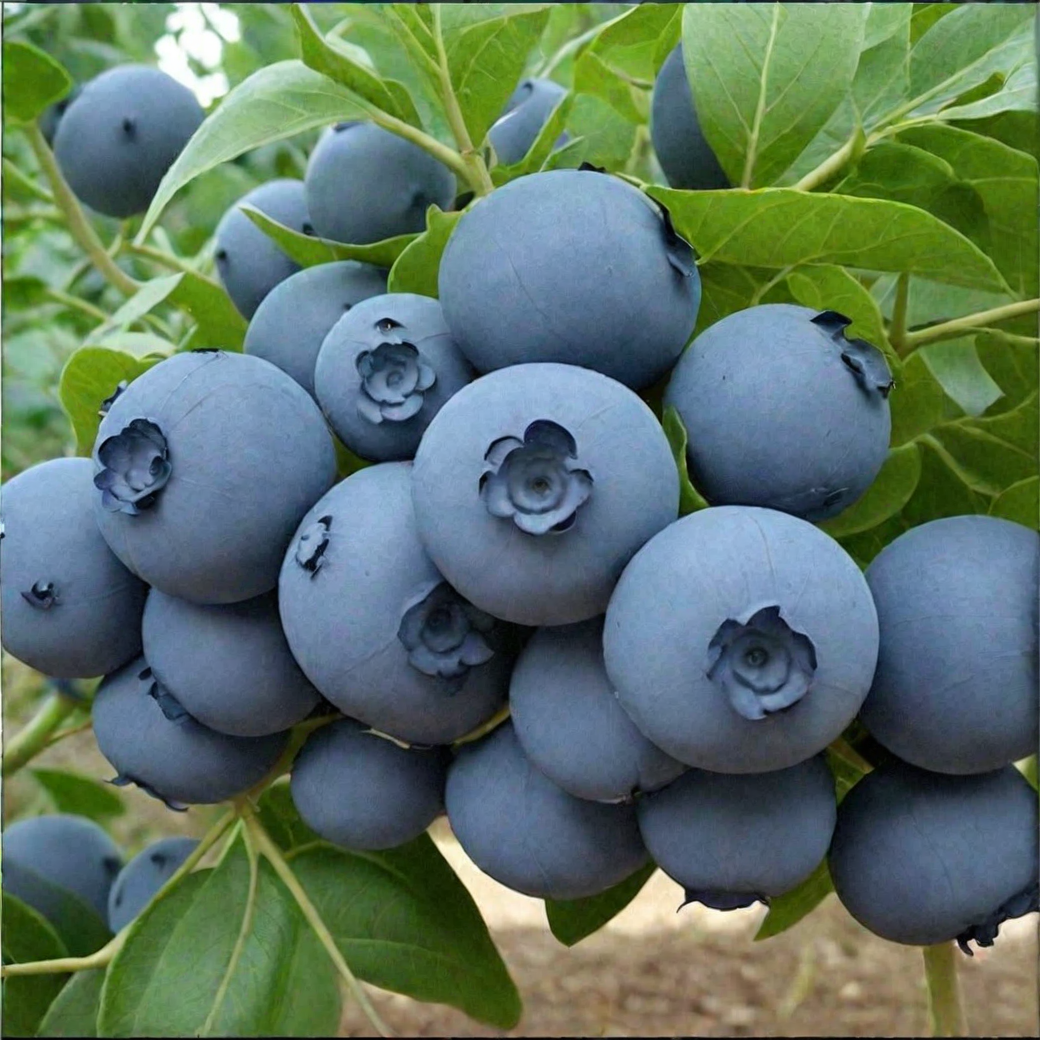 �������� �������� 3 ����!!! ��� ����� �� ������ ������, �� � ����� �������. � ���� �� �������� ������������ ������� ���! 