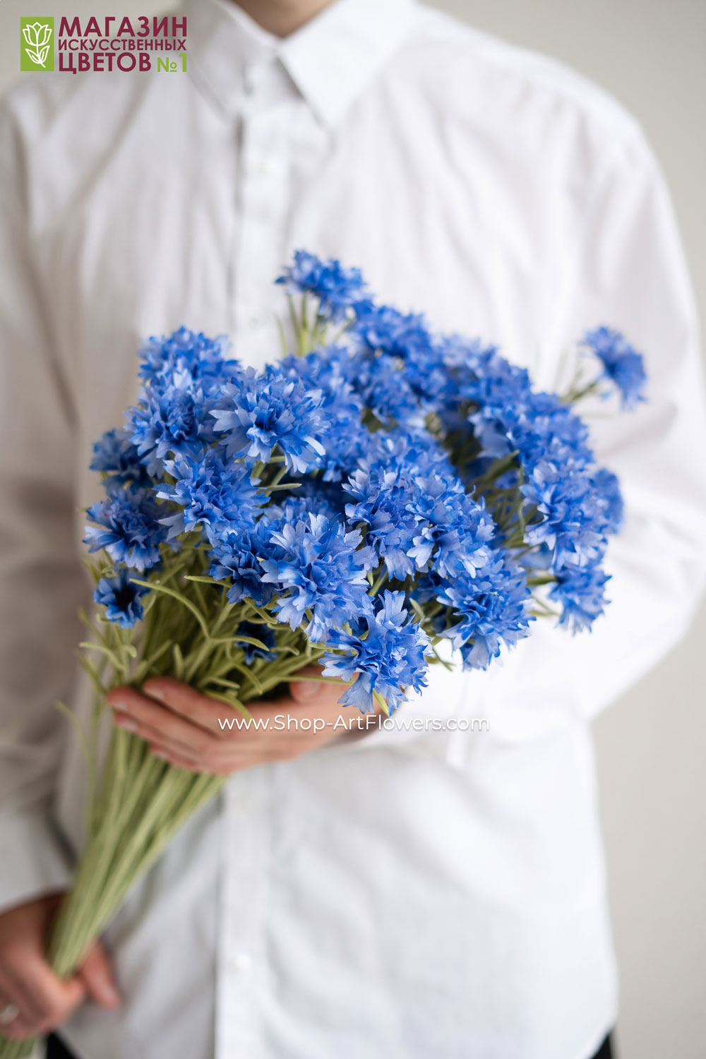 �������� �������� 