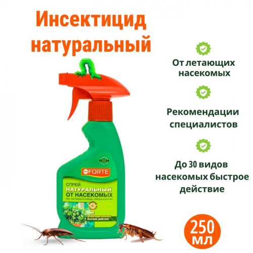 �� 24.09 �������� ��������� � ������� ������, ��� ��� ���� � ������.������, ���������,�����������, ���������. ����� ��������.�����-67 