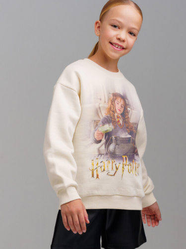 ���� ����� �����/����