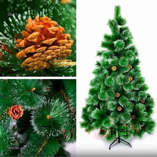 ����� ����� 8. �� ������� ���������� �������: ����, ��������, ������������ ������� � ������ ������. �������� ����.