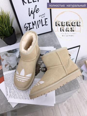 ���� ��� 650 ��� �� ���������� ����������� ���� � ��� �������� 1 �� 36 �������!