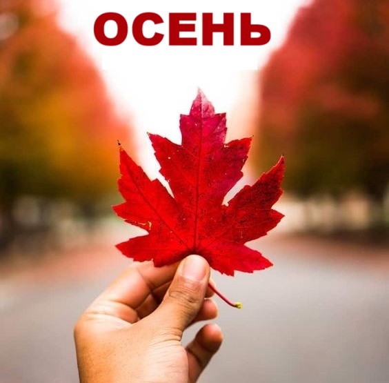 �������� ������� �������� ����� ����������� ��������� � ������� ������ ����������!