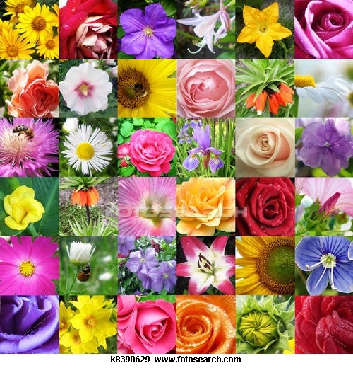 [b]���� �� 14.10. �������,������������ ��������: ����,���������,���������,��������,������,������, ��������,��������. ��������� �� ����� 2026 �.[/b]