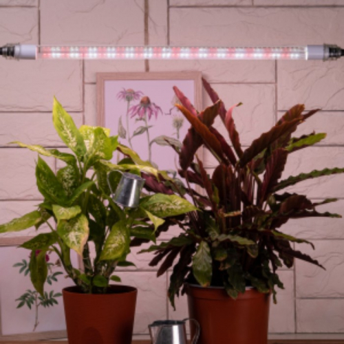 �� 08.10 �������� ��������� � ������� ������, ��� ��� ���� � ������.������, ���������,�����������, ���������. ����� ��������.�����-69