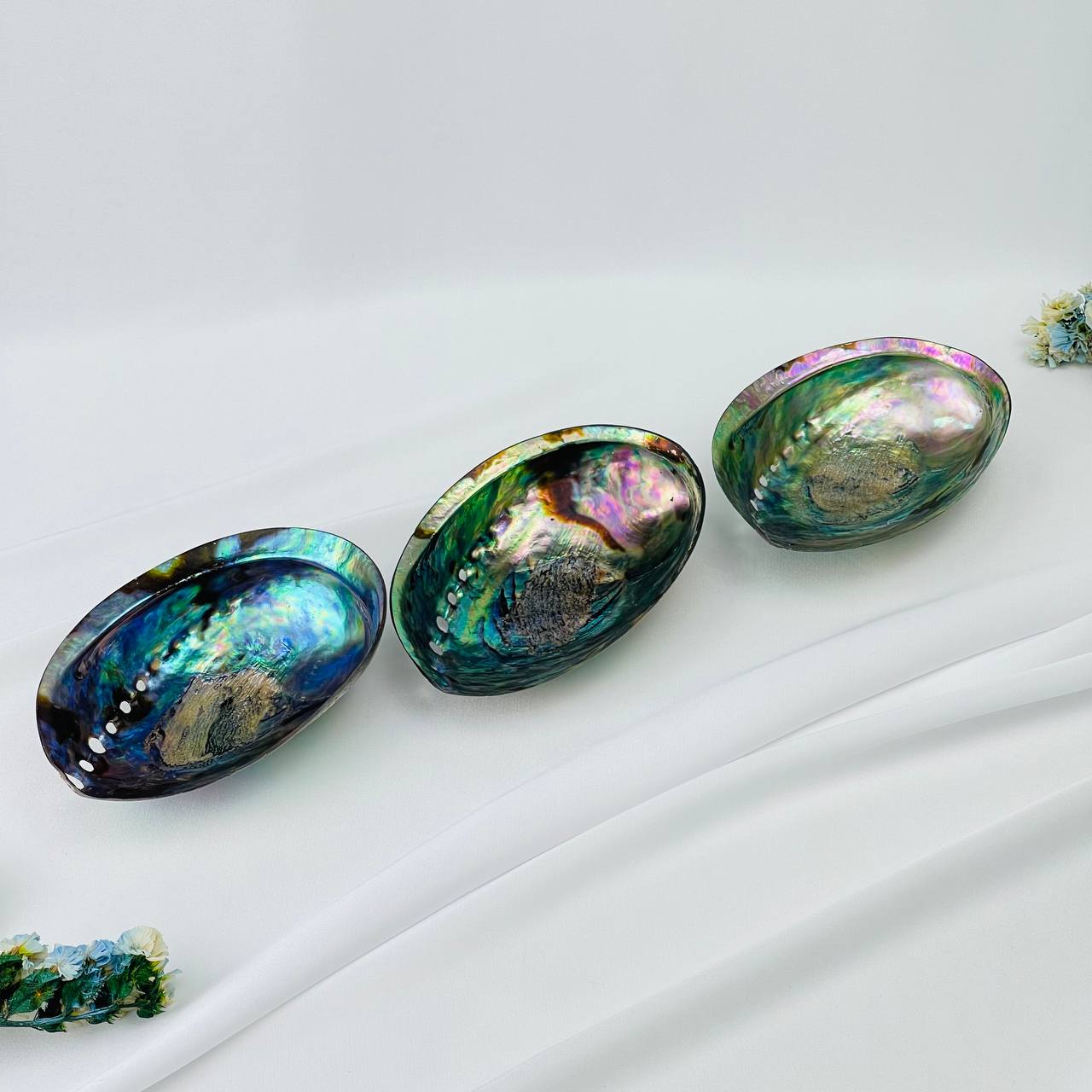 ����� ������ ����������. ��������� �� ����������� ������. ����� ���� ������-��������.