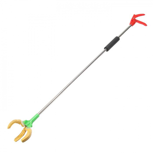 ������������ �������� ��������� � ��������� ������� ����� ���� � ������� ��������. �������� ��� �����, ����, �����, ���������.