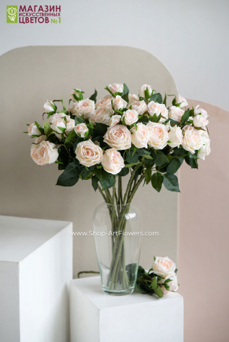 ���� ����������� ������ ��������! 