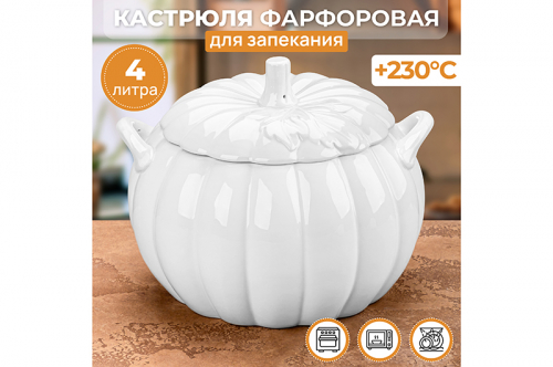 �������� ��� ��������� � ���������� 4 � 24,5*23,5*19 �� �����"� ������� + ������ 