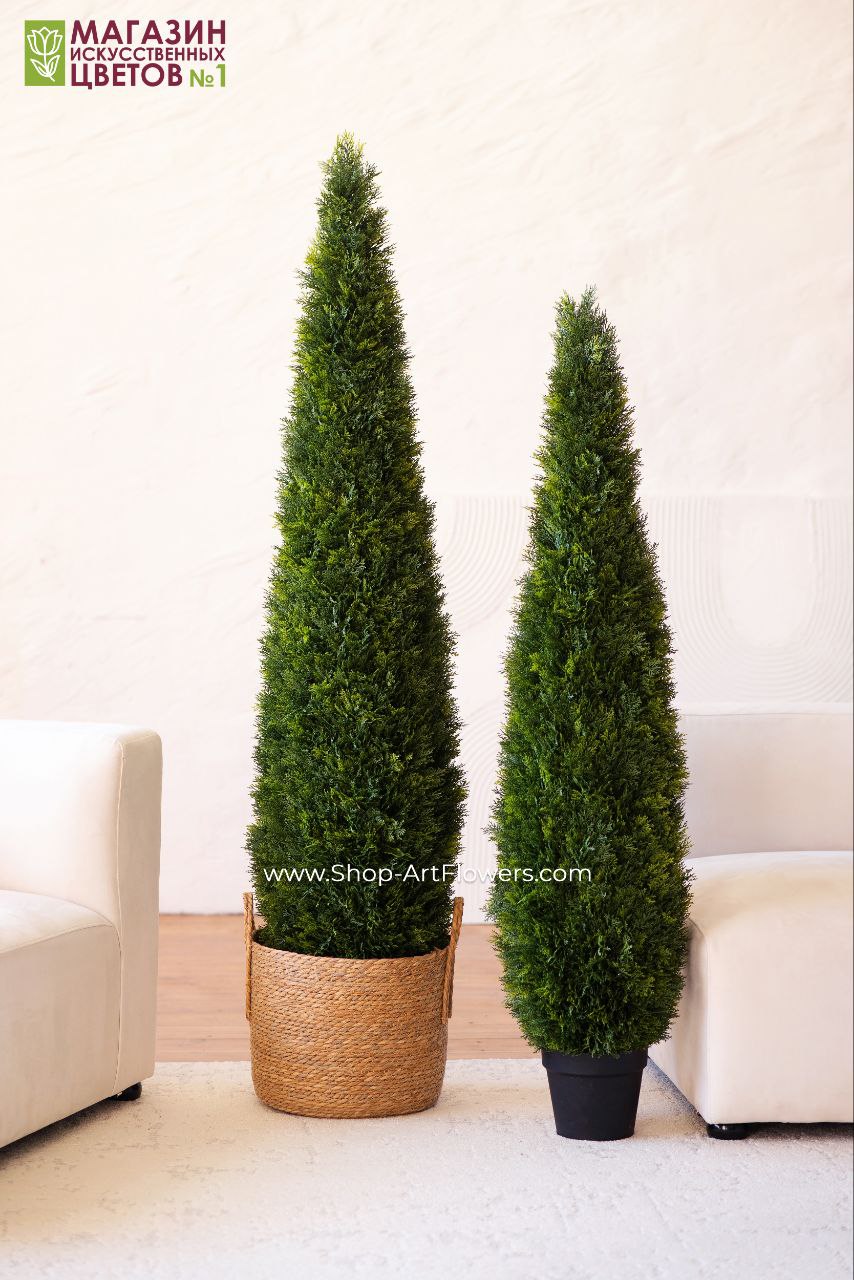 � ������ ���� �������� ������� ������ �����, ����� �����, ���