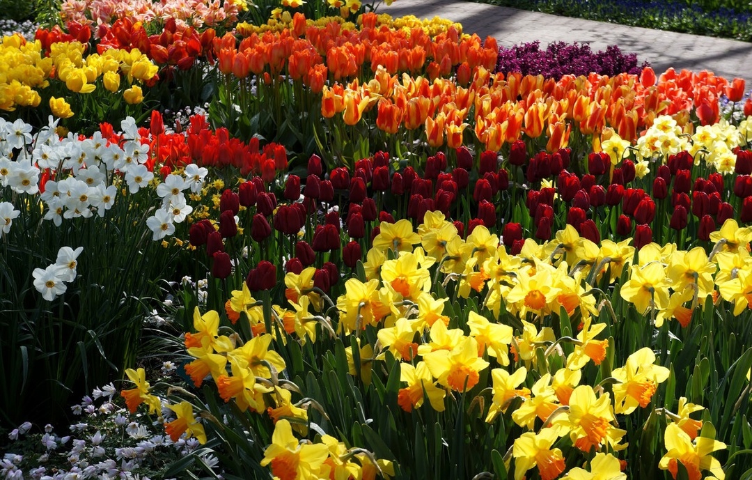 [b]���� �� 13.10.��� � �������: ��������,��������,�������,�����,���������.�����: ������� �� 5%.������� 16.10.[/b]