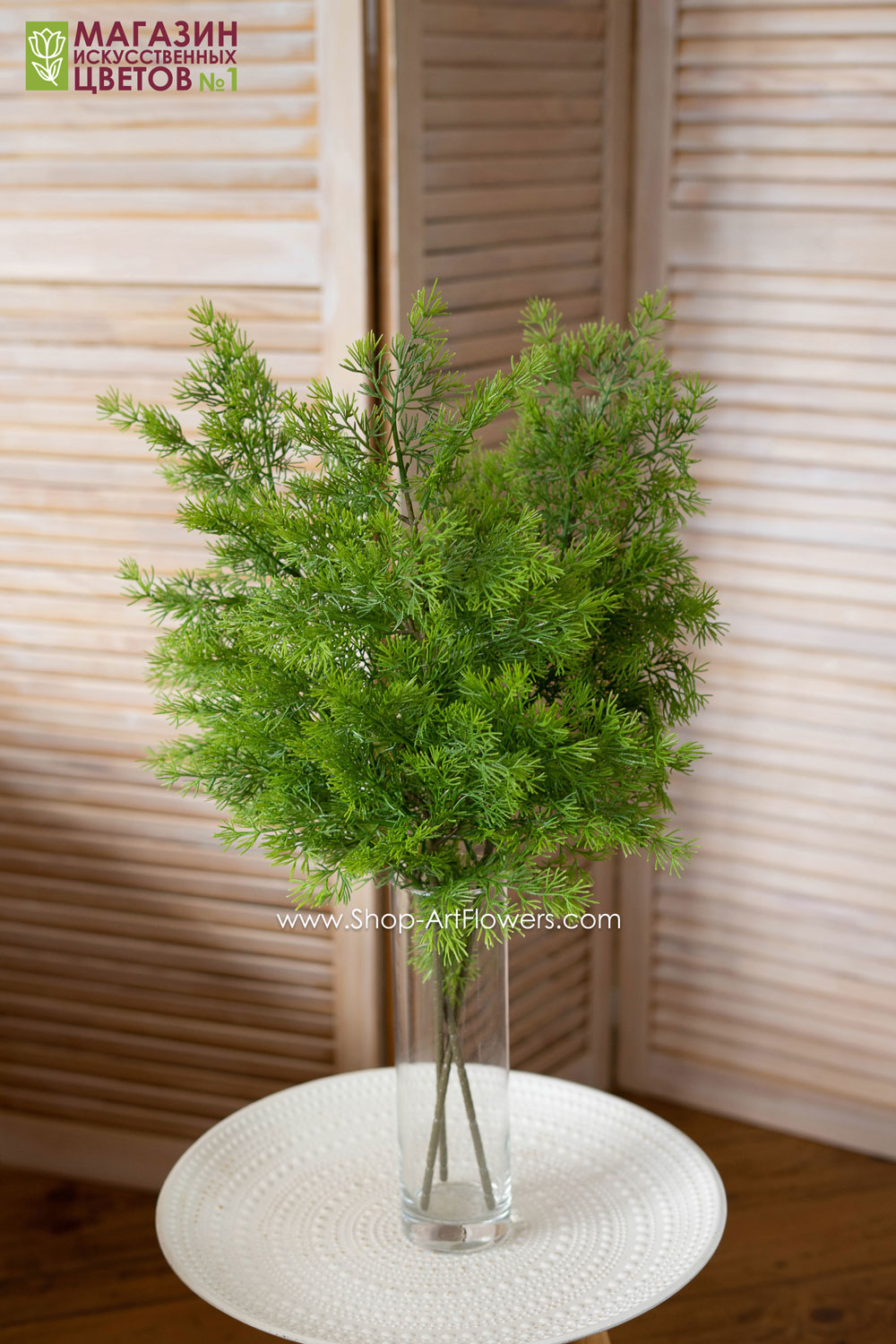 �����-����� ����� ��� (��������) � ��������� �������� �� ����������.