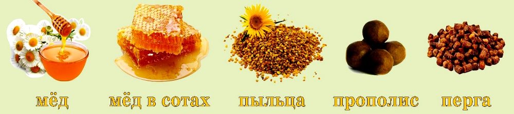 ���� 12 ������� -  �������������� ����� ����, ����������. ����-���, �������. ��������� � ����������. ���������. �������������. ������ 2025�