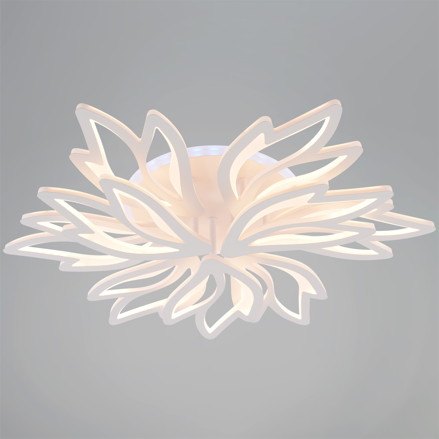  ������ ������������ � ��������. �������. ������� ���������. �������� � ������������� �����������. ����������. ���� � 2 ���� ���� ����������.1125