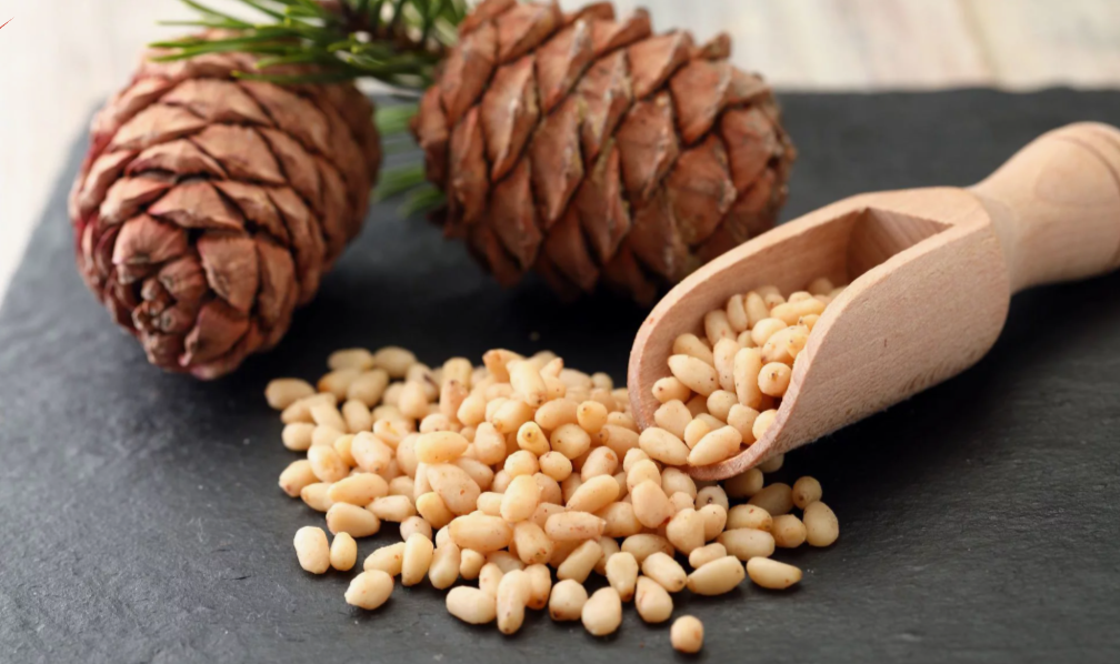 ���������� � �������� �������� ���� �� ������� ���� �� 200 ���)