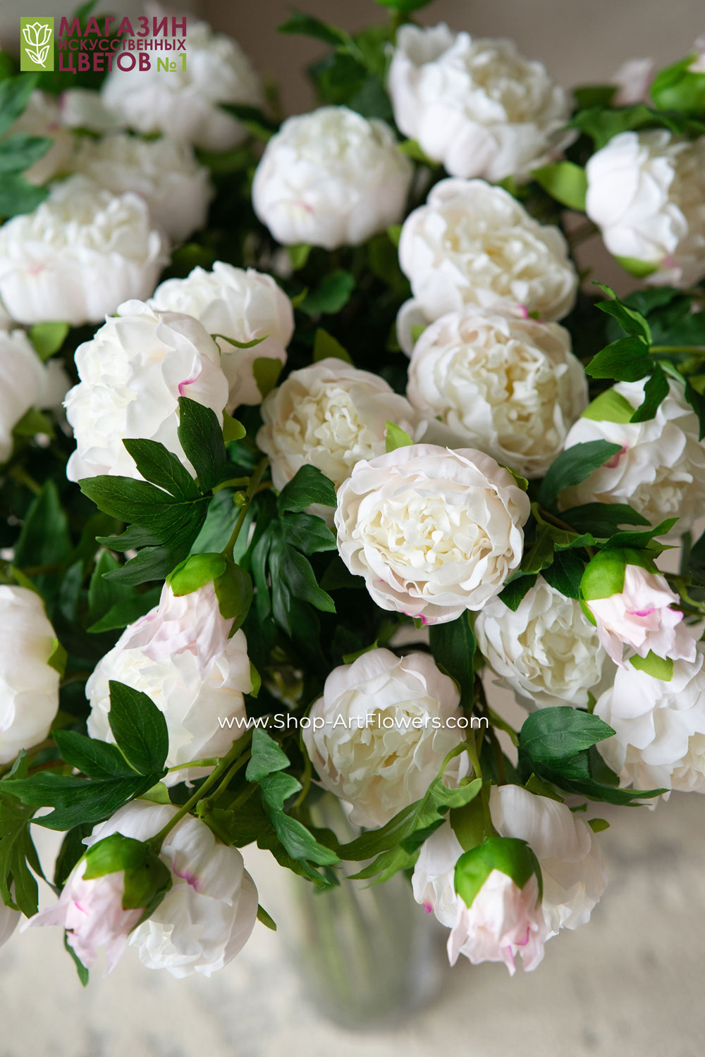 ����� �������� ����������� ����� �� ����������� � �������, �� ��� � ����� ��� �����! ���� ��������!-10