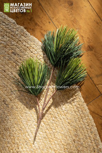 ����� �����-��������� ����� � �������� ����� ���! 