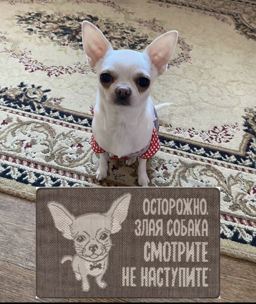 ��������� ��� ����� ���-��)))..... 22�78-�� ����� ����������� ������������ � ������� ������ 