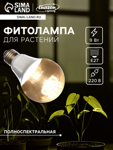 �� 29.10 ��� ��� ���������� � ����� ��� ��� ���� � ������.������, ���������,�����������, ���������. ����� ��������.�����-72