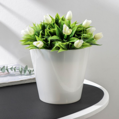 �� 05.11 ��� ��� ���������� � ����� ��� ��� ���� � ������.������, ���������,�����������, ���������. ����� ��������.�����-73 