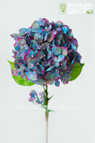 ��������� ������ �� ����������� ����� ��� ���������, ������ ������ ������� ������ ������ 