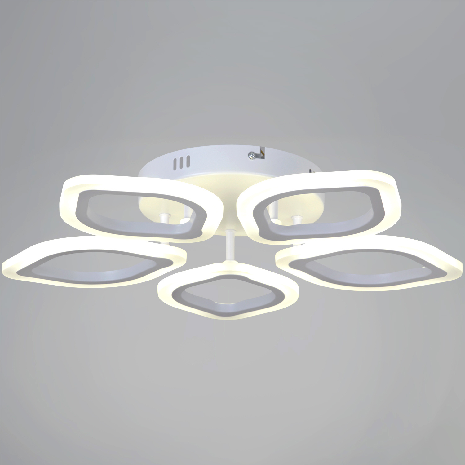 ������ ������������ � ��������. �������. ������� ���������. �������� � ������������� �����������. ����������. ���� � 2 ���� ���� ����������.1225