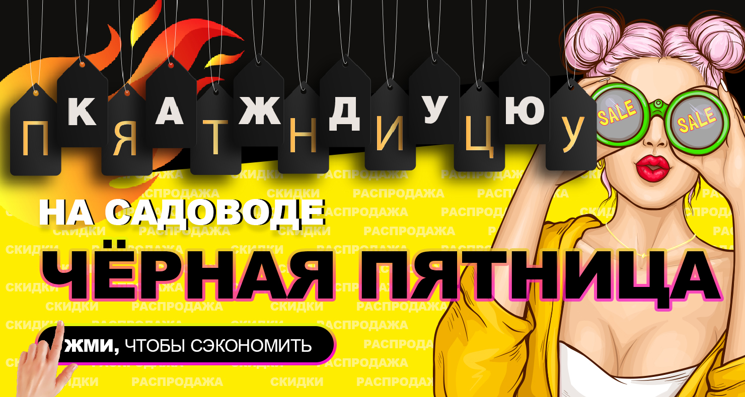 ���� ������� ������ �����/���� 2025! -14   