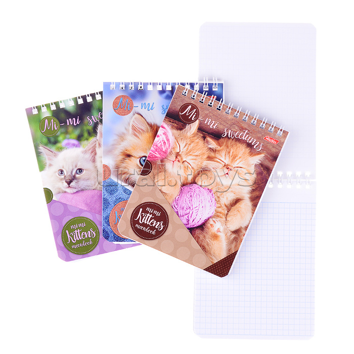 ������� ���������� ������� ����� Hatber